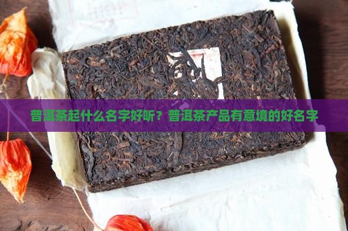 普洱茶起什么名字好