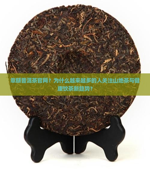 章朗普洱茶官网