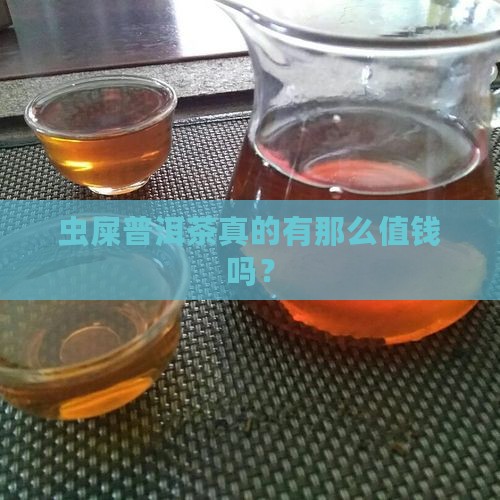 虫屎普洱茶贵吗 虫屎普洱茶贵吗
