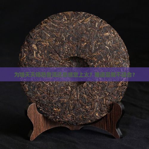 天天喝熟普洱茶上火