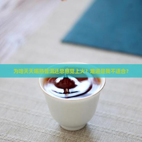 天天喝熟普洱茶上火