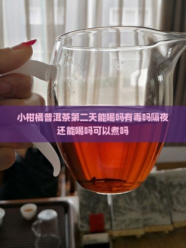 小柑橘普洱茶第二天能喝吗