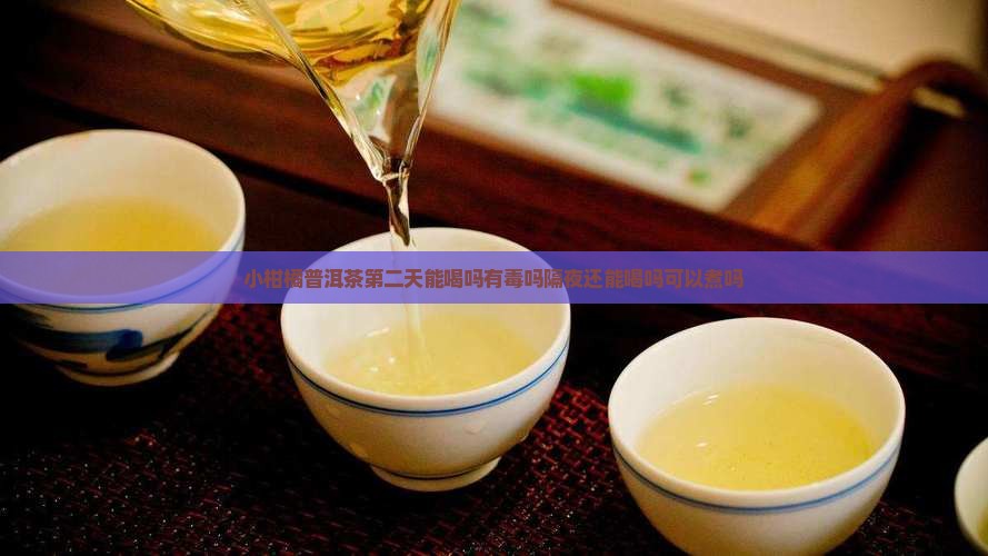 小柑橘普洱茶第二天能喝吗