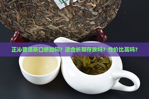 正沁普洱茶怎么样