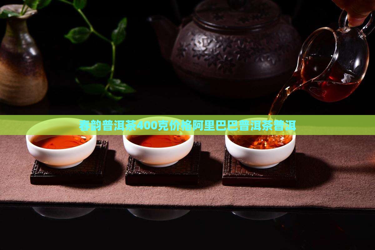 糯香春韵普洱茶400克
