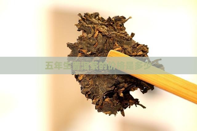 5年生普洱茶价格是多少