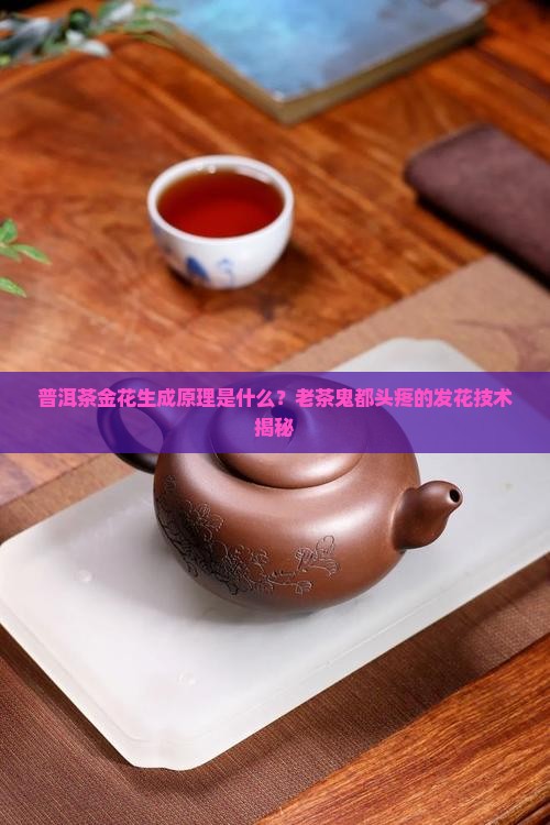 普洱茶金花生成原理是什么