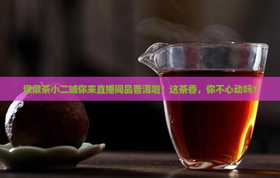 墩墩茶小二普洱茶直播