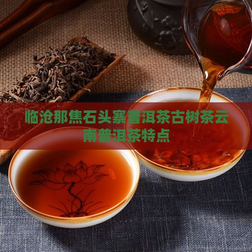临沧那焦石头寨普洱茶
