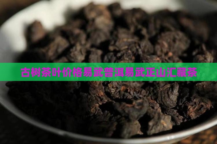 易武正山汇藏茶