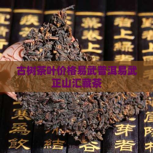 易武正山汇藏茶