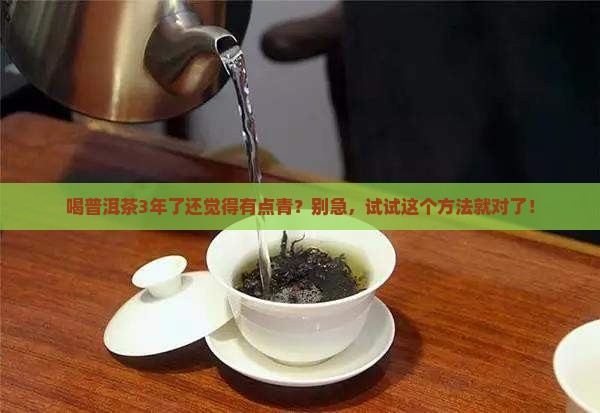 普洱茶3年去青