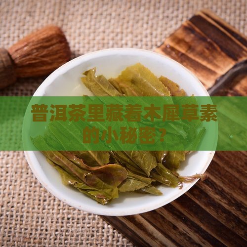 普洱茶是有没有木犀草素