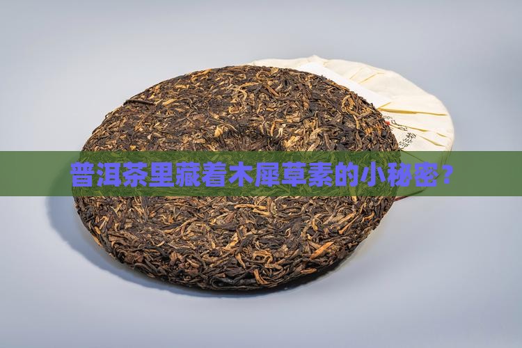 普洱茶是有没有木犀草素