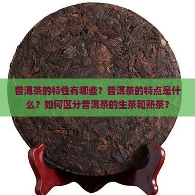 普洱茶相关特性有哪些特点