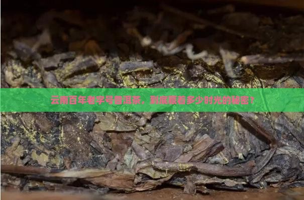 云南百年老字号普洱茶
