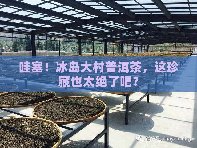 冰岛大村普洱茶珍藏