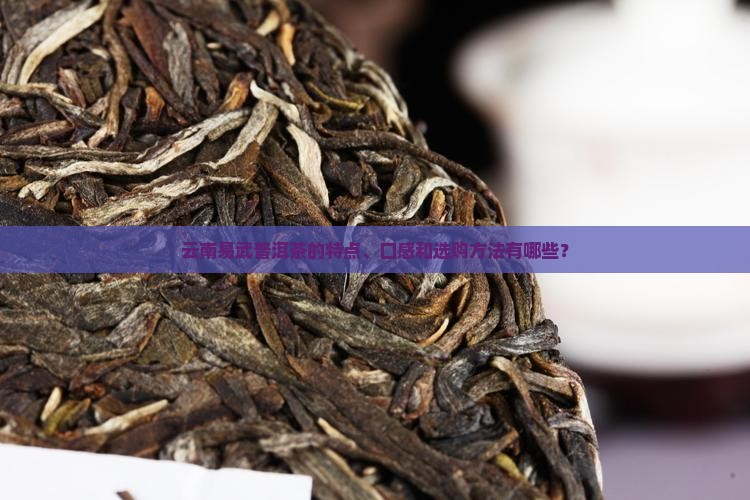 云南易武普洱茶怎样