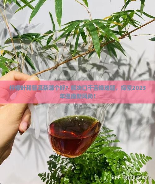 柠檬叶和普洱茶哪个好
