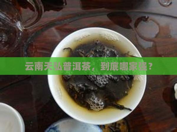 云南天弘普洱茶排名