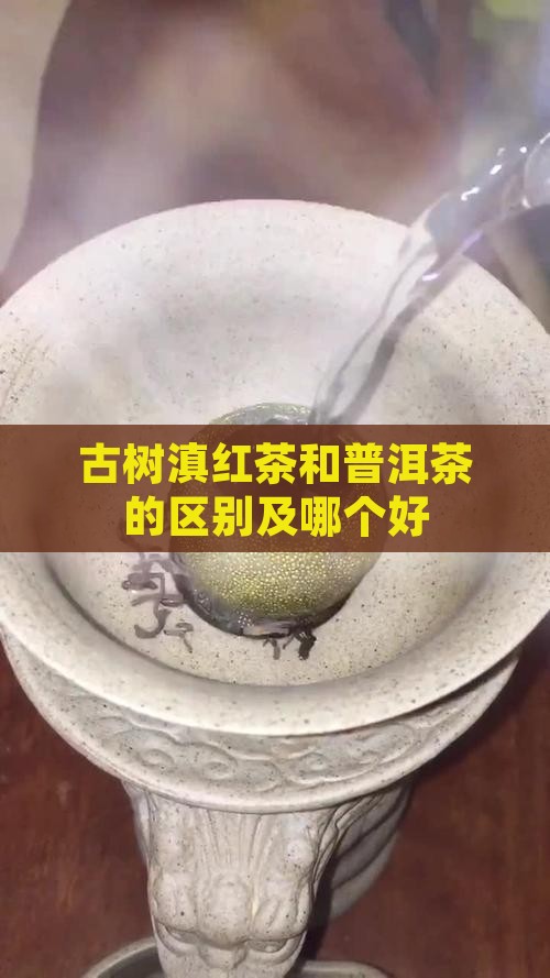 古树滇红茶和普洱茶