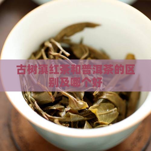 古树滇红茶和普洱茶