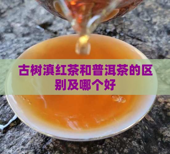 古树滇红茶和普洱茶