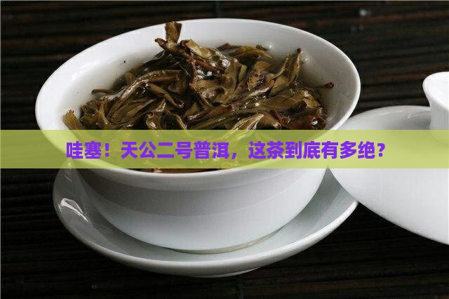 天公二号普洱茶