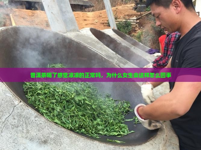 普洱茶喝了感觉凉凉的正常吗