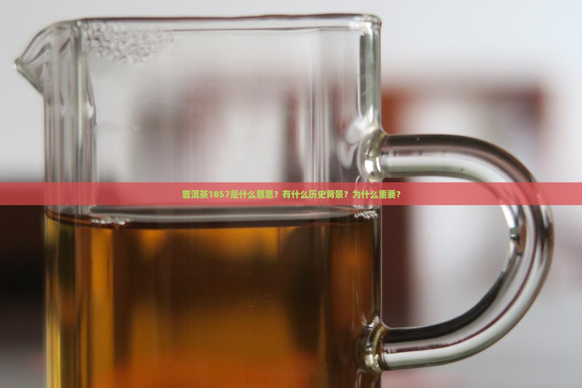 普洱茶1857什么意思