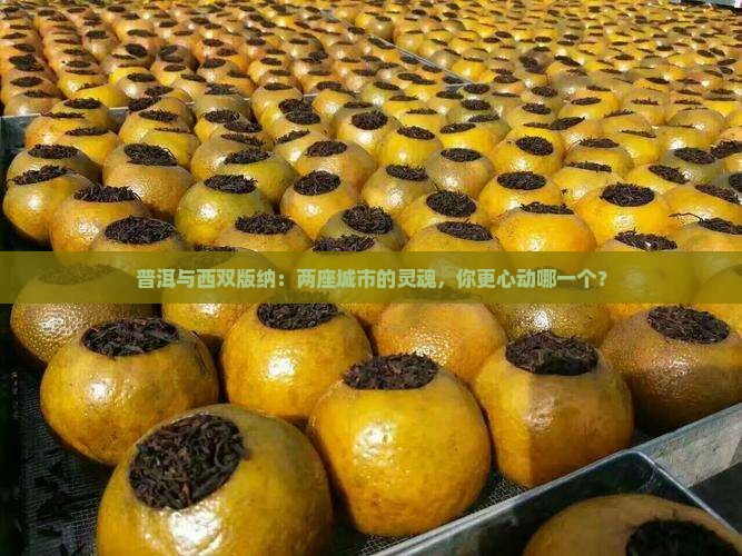 普洱和西双版纳对比