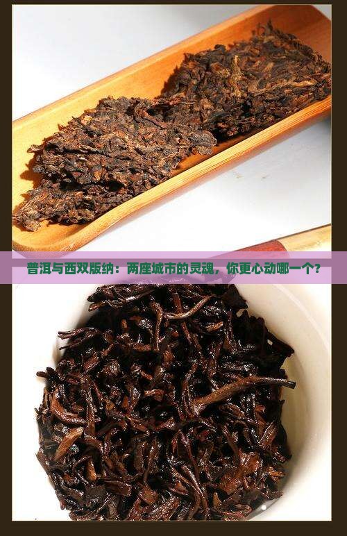 普洱和西双版纳对比