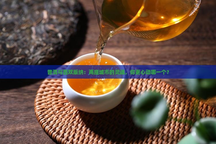 普洱和西双版纳对比