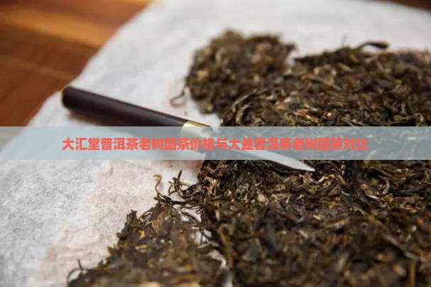 大汇堂普洱茶老树圆茶