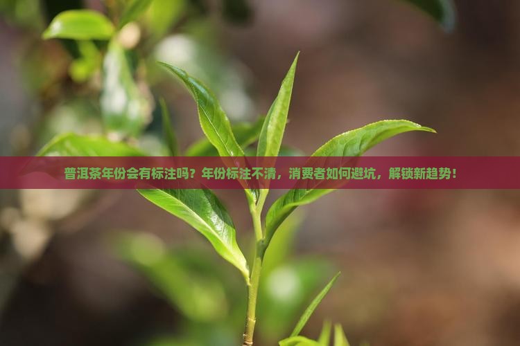 普洱茶年份会有标注吗