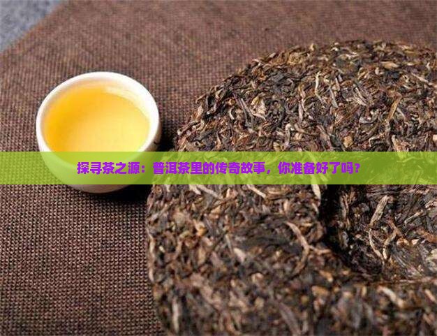 茶祖博览馆普洱茶产品