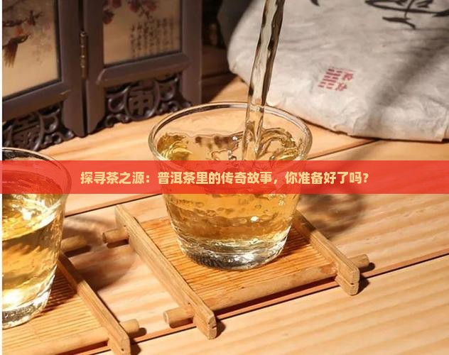 茶祖博览馆普洱茶产品