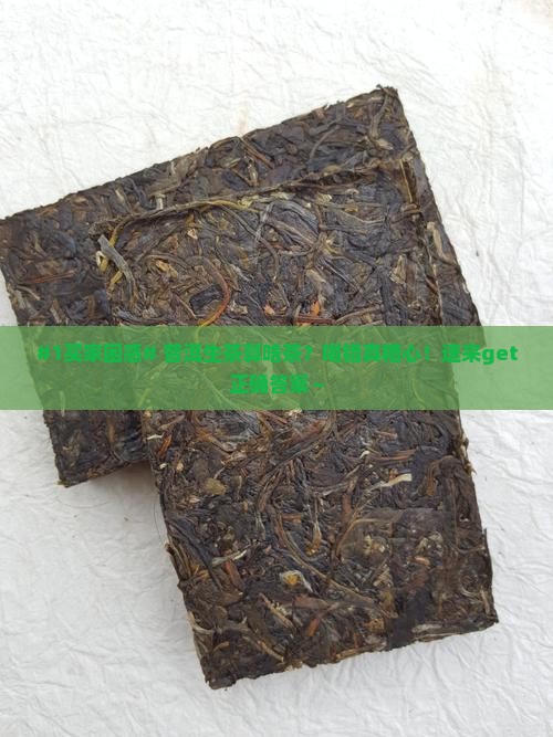 普洱茶生茶属于什么类型的茶类