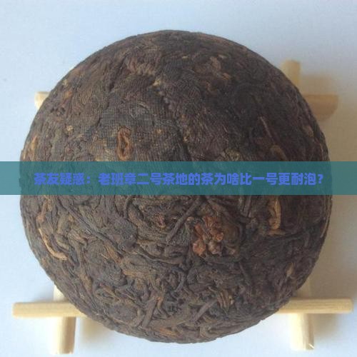 老班章二号茶地