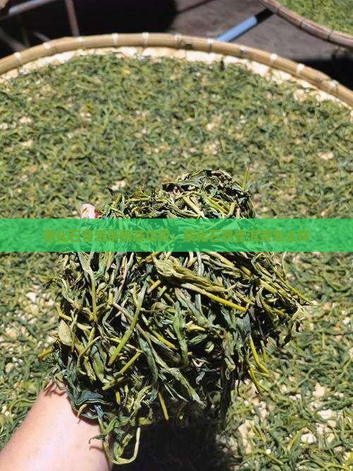 茶化石普洱茶熟茶功效