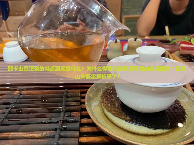 那卡山普洱茶的特点