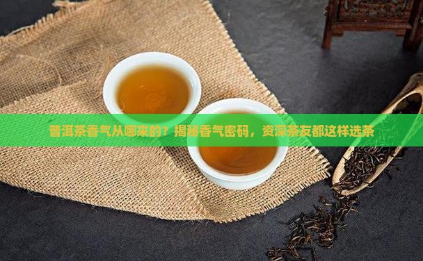 普洱茶香气从哪来得到