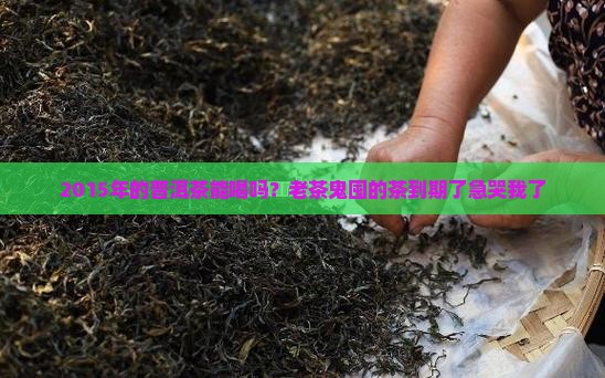 2015的普洱茶能喝吗