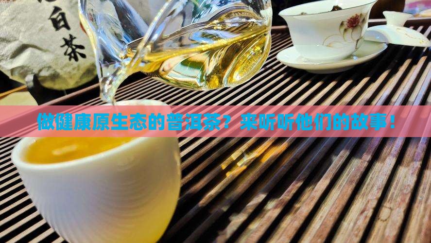 做健康原生态的普洱茶