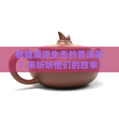 做健康原生态的普洱茶