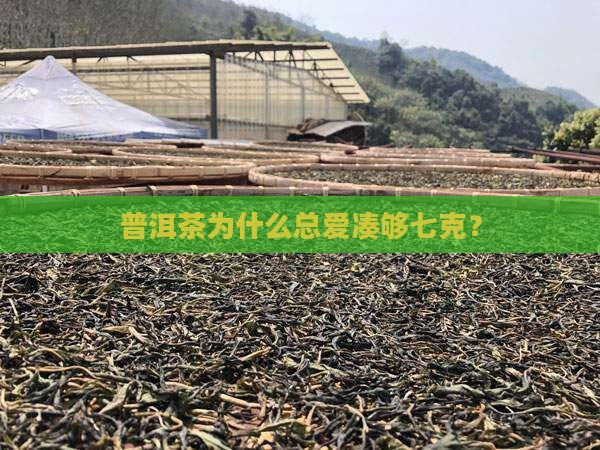 普洱茶为什么要放七克