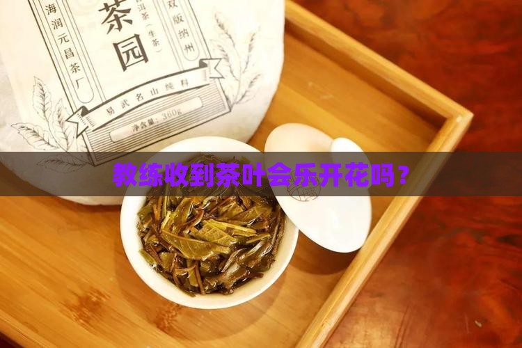 送教练茶叶他会高兴吗