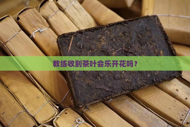 送教练茶叶他会高兴吗