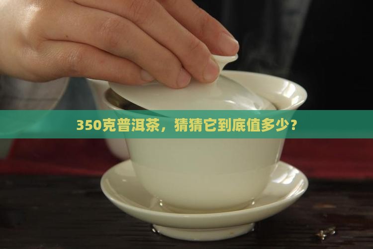 普洱茶350克多少钱