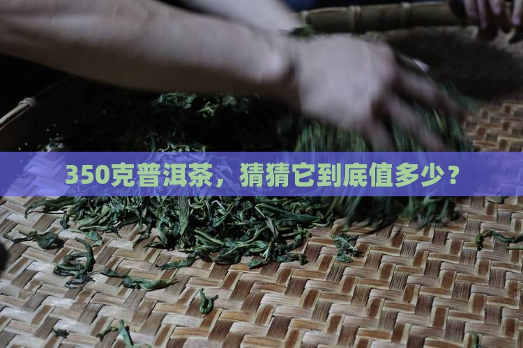 普洱茶350克多少钱